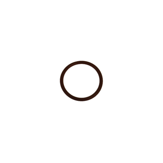 Ascaso Heating Element O-ring