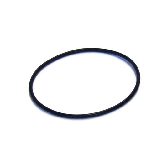 ascaso big dream group cap o-ring 09745600