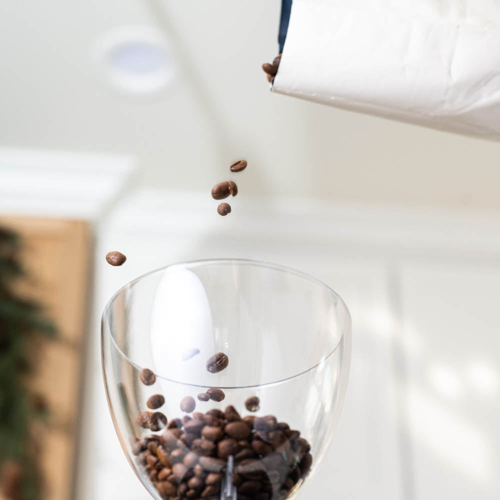 ascaso imini coffee grinder roasted beans