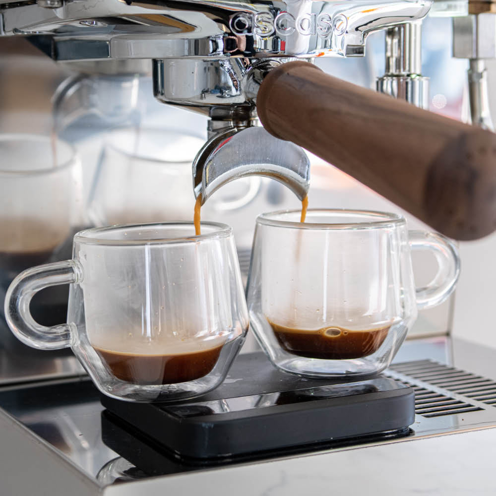ascaso steel duo home espresso machine shots