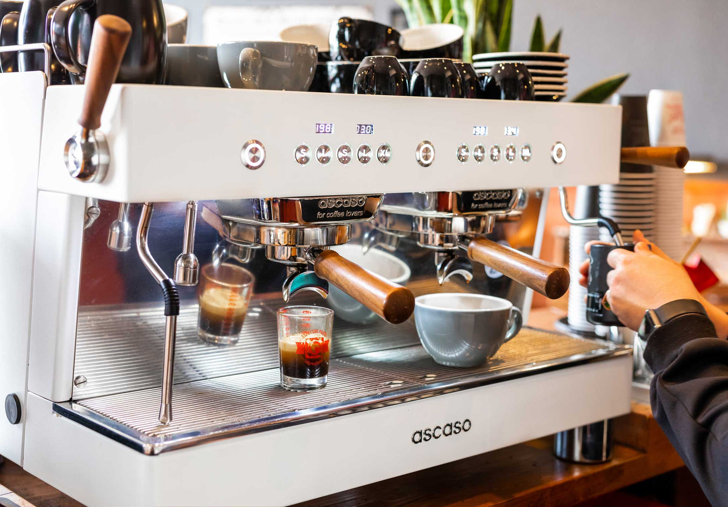 Barista T Plus, Automatic 2 Group Espresso Machine, with Thermodynamic –  AscasoUSA