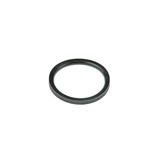 Gaggia 6 mm Piston Gasket