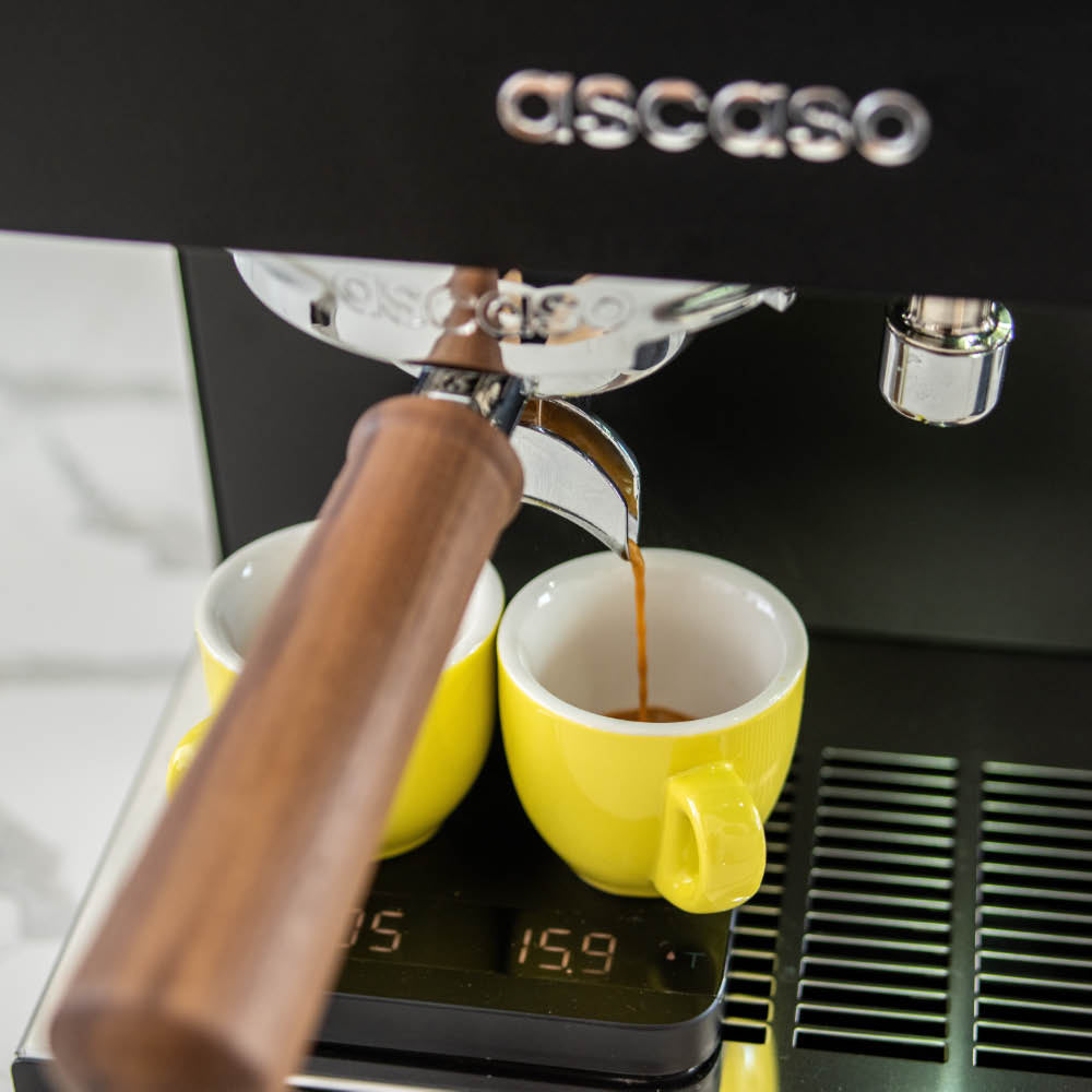 ascaso steel duo professional home espresso machine black